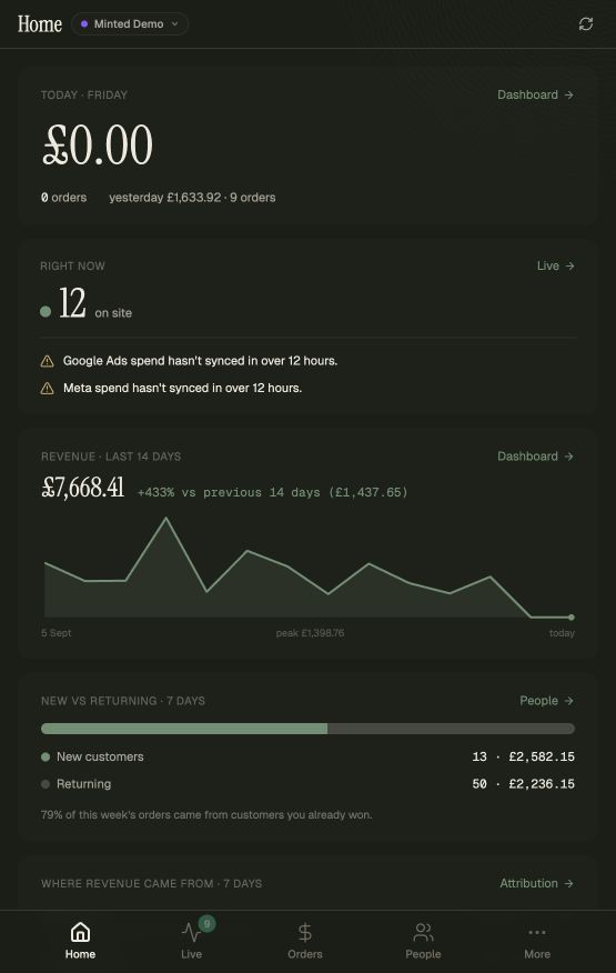 Real Minted Demo web app home screen showing today's revenue, live visitors, revenue trend and returning customer summary